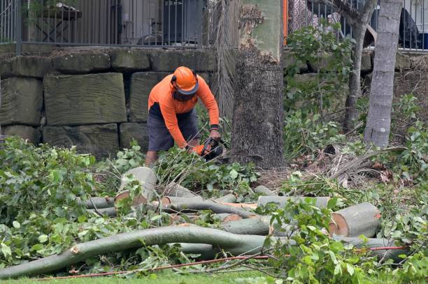 Best Commercial Tree Services  in Wetumpka, AL